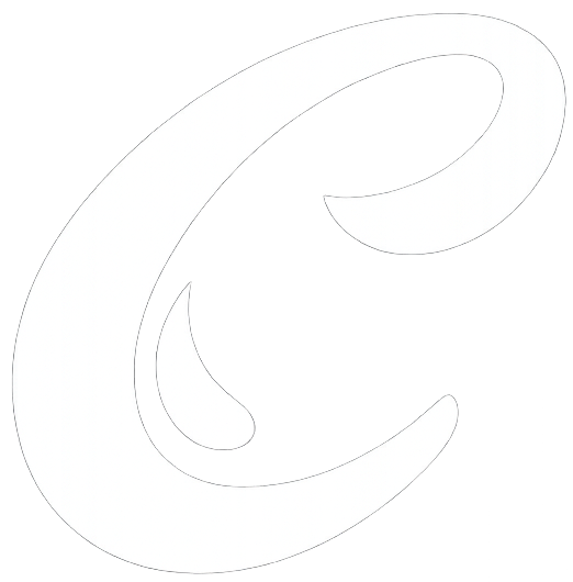 chasino.net